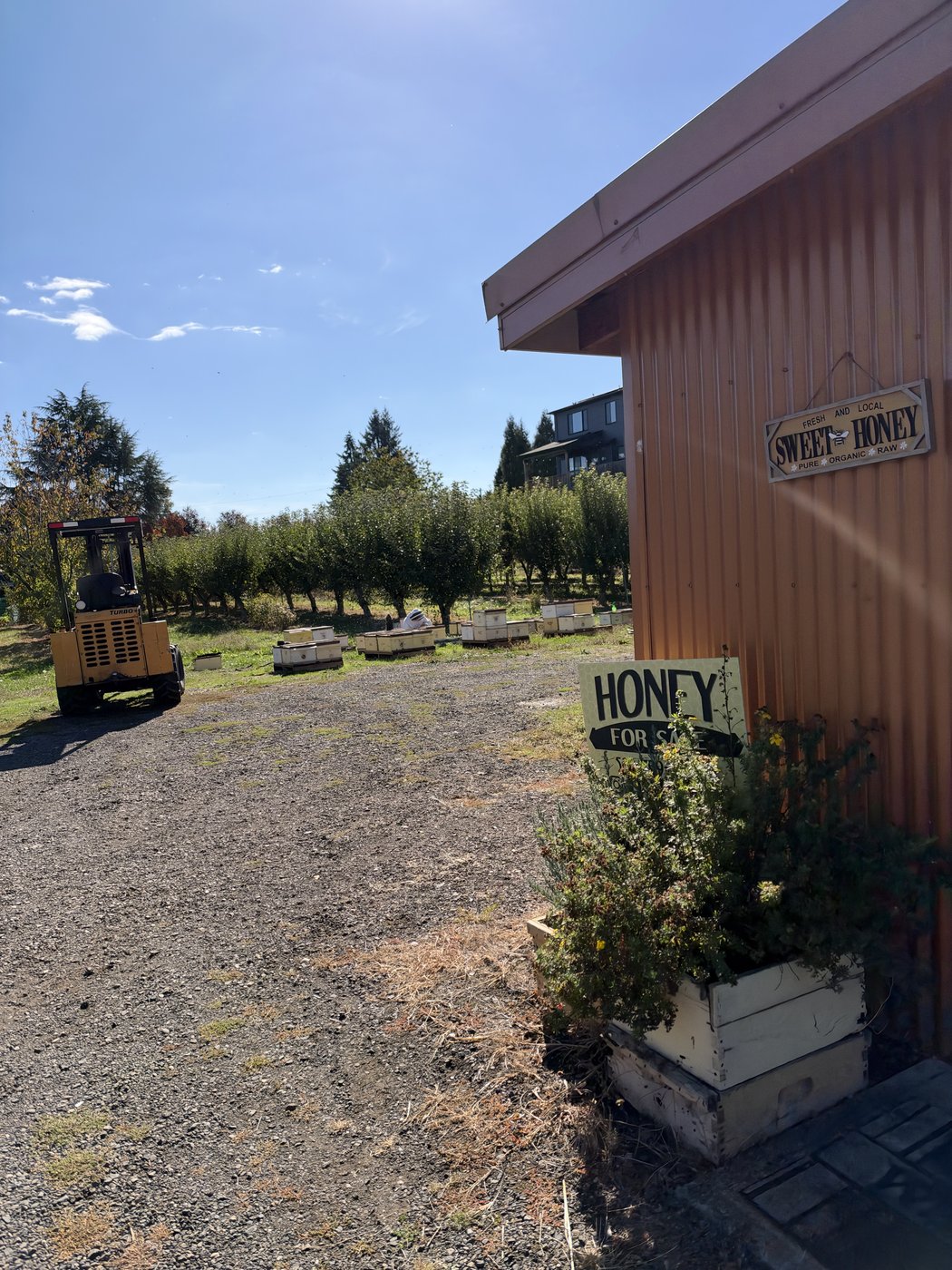 Bee Way Honey Farm Stand Signage and Apiary Approach